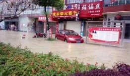 咸宁通城最新爆料,揭秘神秘事件背后的真相