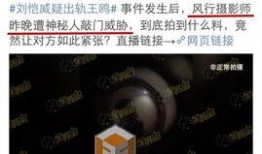 新疆八卦爆料最新视频,揭秘最新视频背后的惊人真相